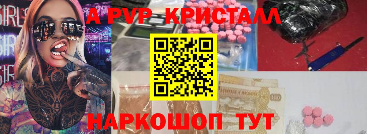 Альфа ПВП СК КРИС Рубцовск