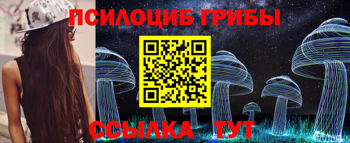 Галлюциногенные грибы Psilocybe Рубцовск